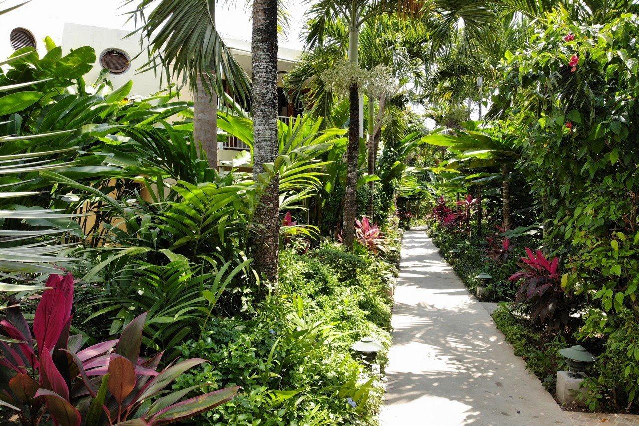 Negril Palms Hotel Exterior photo