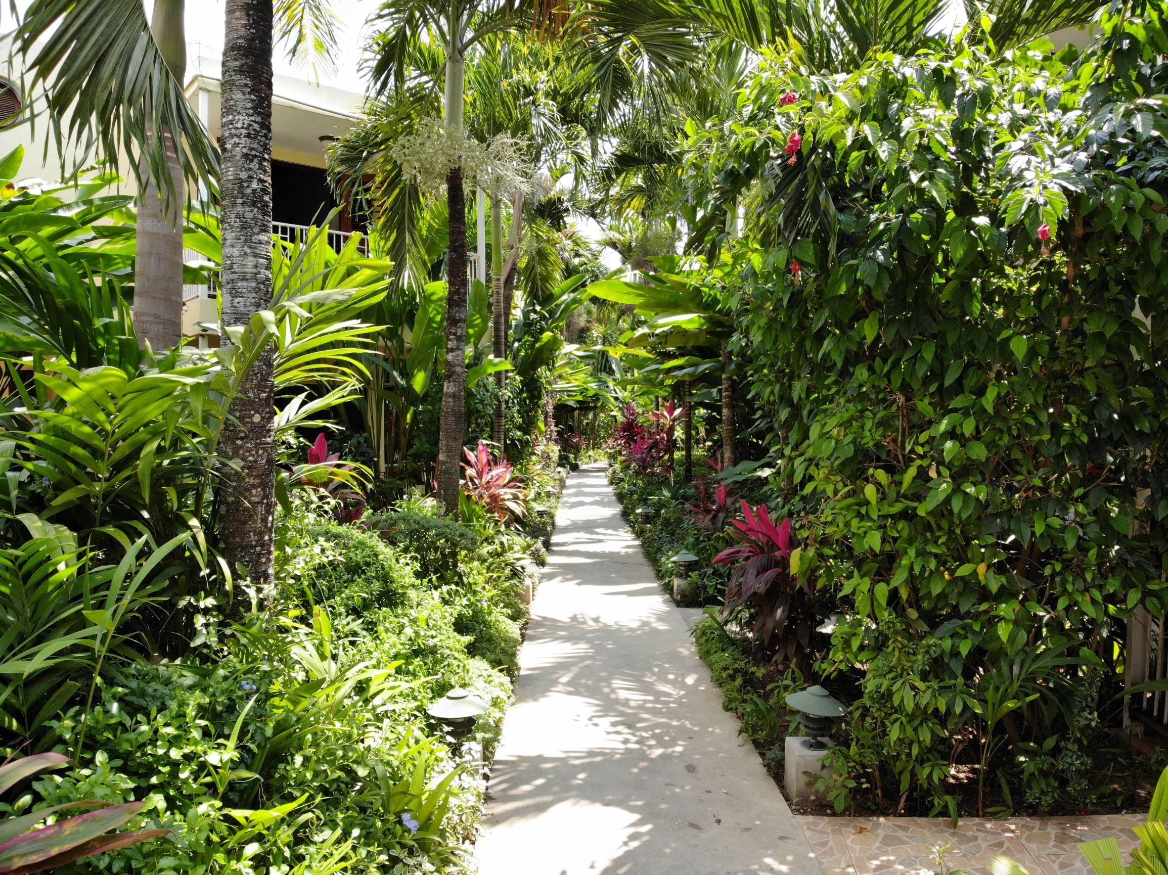 Negril Palms Hotel Exterior photo