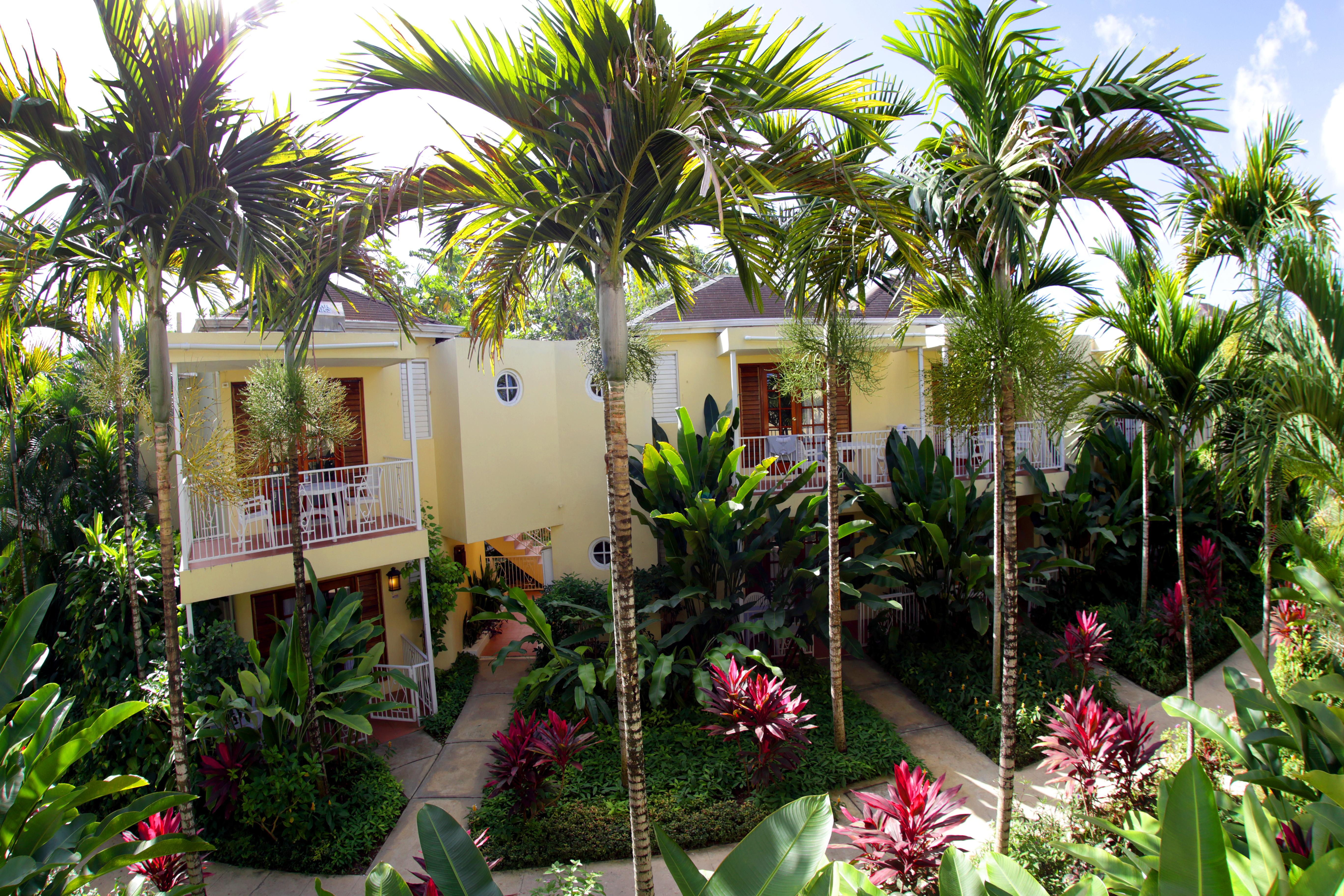 Negril Palms Hotel Exterior photo